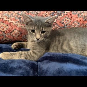 Meet your Posher, Claire